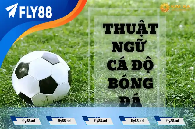 Người chơi cần nắm rõ thuật ngữ trong cá độ Người chơi cần nắm rõ thuật ngữ trong cá độ