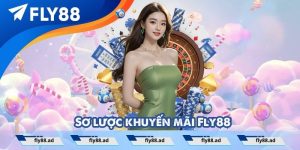 Sơ lược khuyến mãi Fly88