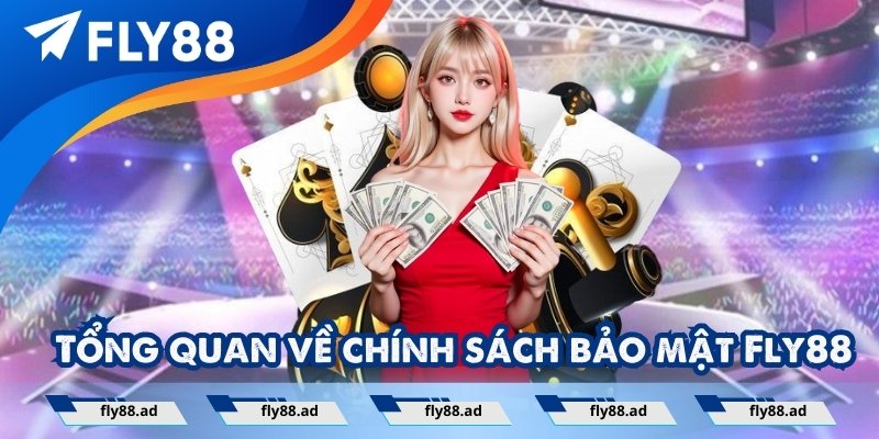 Tổng quan về chính sách bảo mật tại nhà cái Fly88