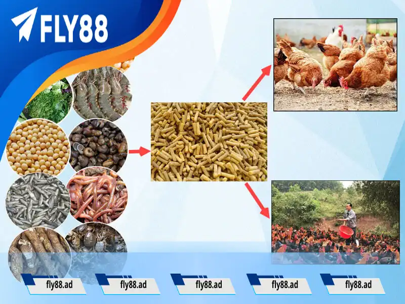 Thực phẩm bổ sung dinh dưỡng