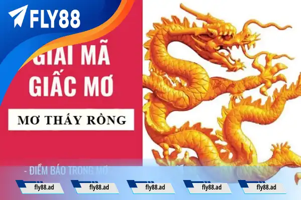 Ngủ mơ rồng vàng trong mộng